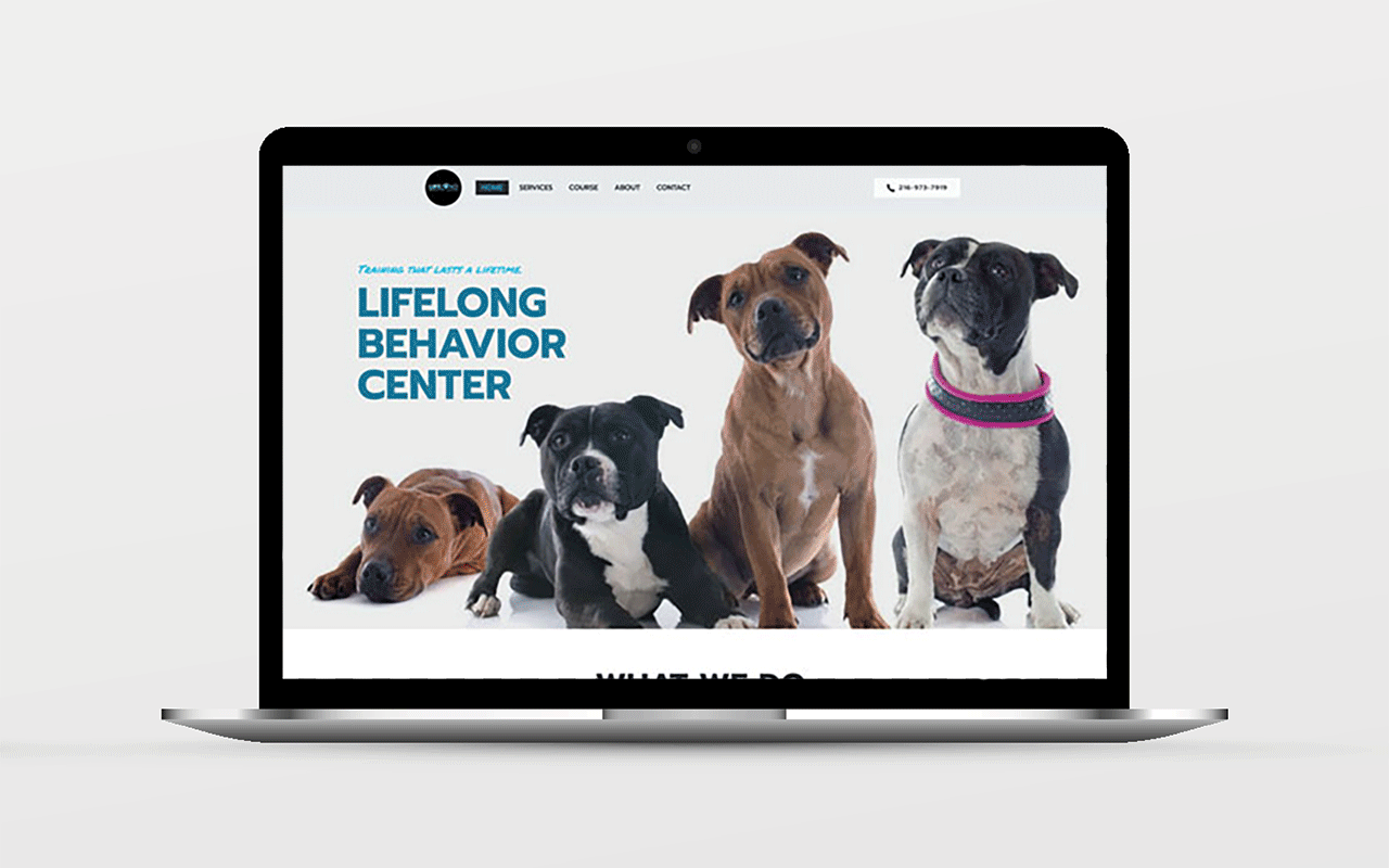 Lifelong Behavior Center's homepage.